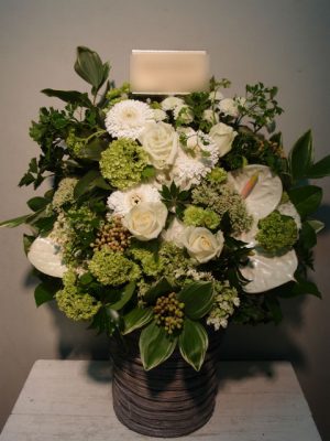 楽屋花（ストリームホール）