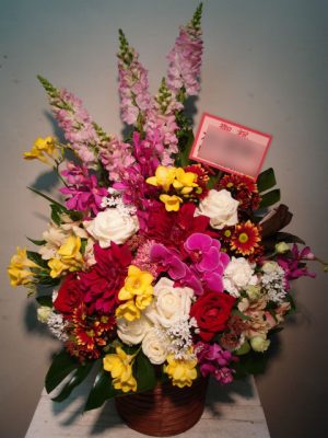 林遣都様宛（熱帯樹・シアタートラム）