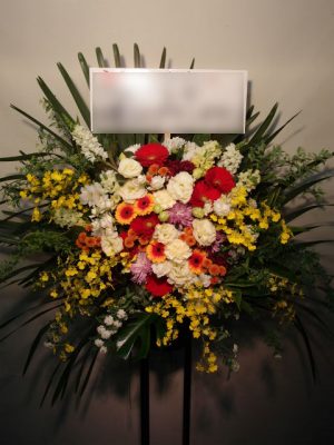 オードリーのオールナイトニッポン10周年全国ツアー 様宛（日本武道館）