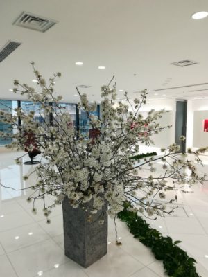 桜　入社式