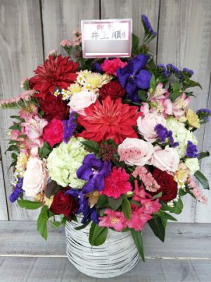 贈先：井上順様宛 場所：明治座 イメージ：おまかせ 用途：楽屋御見舞　生花アレンジメント