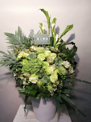 渋谷区神宮前 イメージ：緑 用途：設立御祝