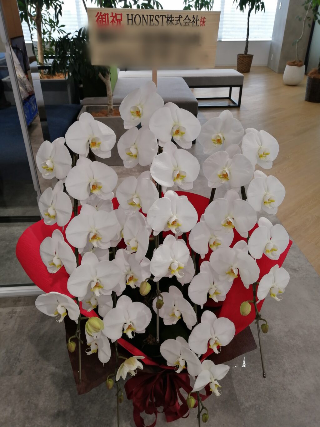 赤坂ミッドタウンタワーにお届けした胡蝶蘭