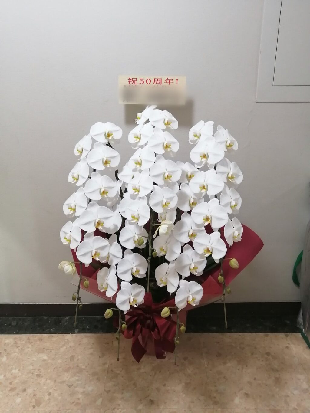 バーニングプロダクション様宛にお届けした胡蝶蘭