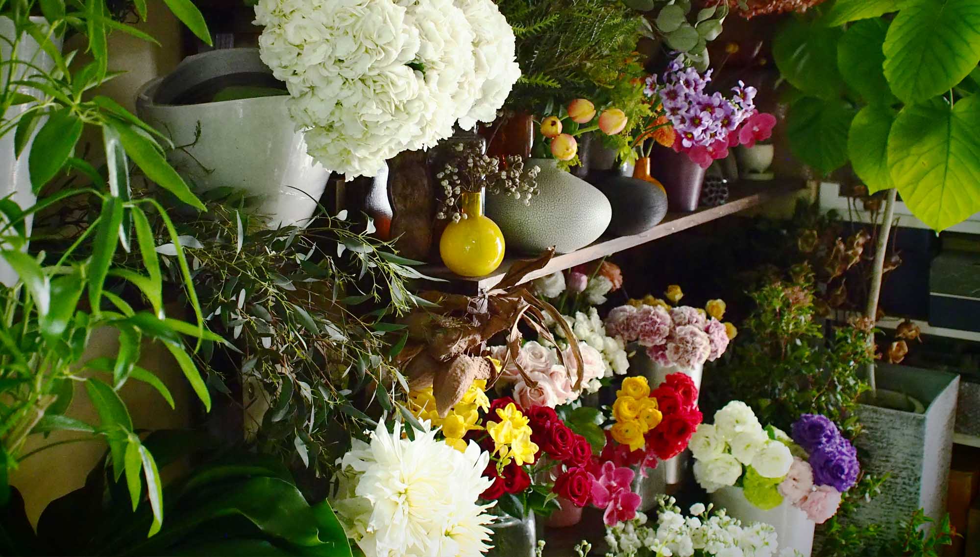 トップイメージ