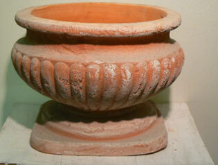 SALE　Rusticoラスティコペラノ　2009-05-21