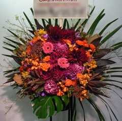 恵比寿リキッドルーム　2010-01-26