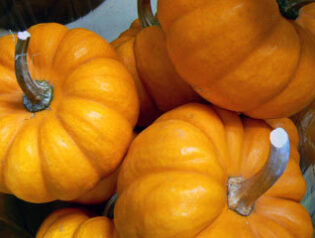 実実実　2010-10-06