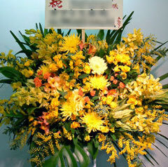 スタンド花3　2011-01-27