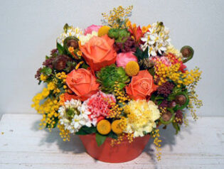 LE　GOUTEMPSさん　2011-02-12