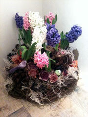 CASUCAさんのお店　　2011-02-14