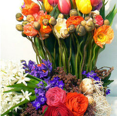 光の音しゃしんとうたう　ハナレグミ中村ハルコ　2011-02-07