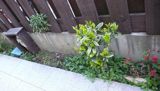 庭の施工も時々