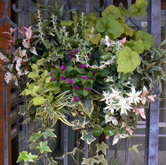 ハンギングバスケットなども