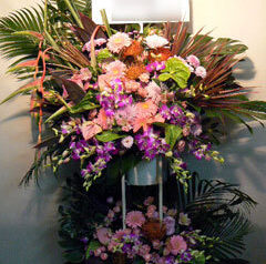 フラダンス発表会