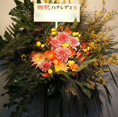 ハナレグミ　NHKホール