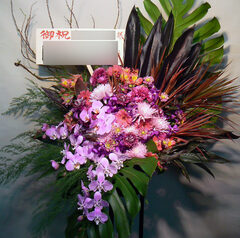 渋谷BunkamuraGallery