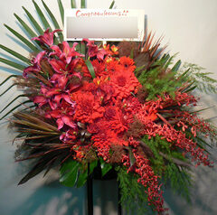 国立競技場　2012年5月26日