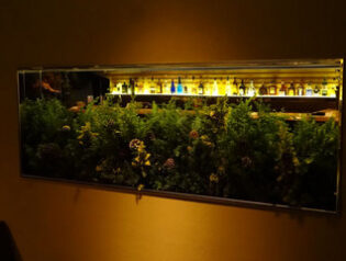 クリスマス　ディスプレイ2012　Vol2