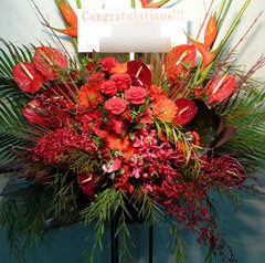 タヒチアンフラ