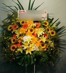 東京ドーム　文京区　コンサート公演御祝