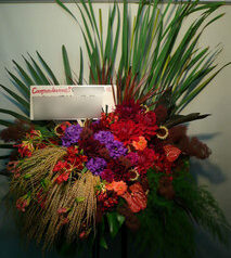 CA4LA表参道店　開店御祝　原宿