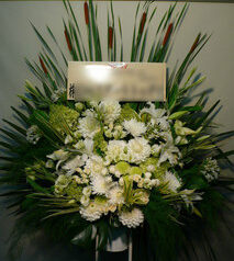 会社設立の御祝　白緑