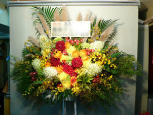 コンサート公演御祝　東京ドーム