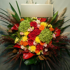 開店御祝　武蔵小山