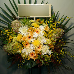 公演御祝　新宿区