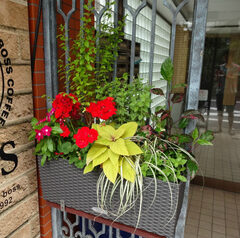 マンション玄関　装花