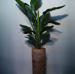 オーガスタ　事務所開所の御祝