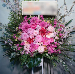 時事通信ホール　タイタンライブ