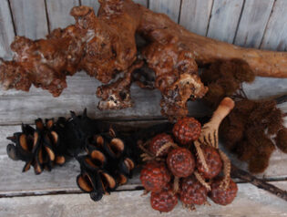 流木や自然素材も