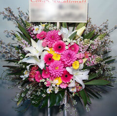 よみうり大手町ホール　公演御祝