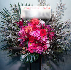 日本武道館　公演御祝