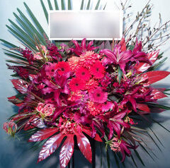 渋谷公会堂　コンサート開催御祝