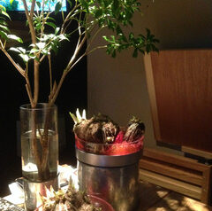 レストランの活け込みを数点