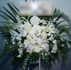 公演御祝　設立御祝　開院御祝など