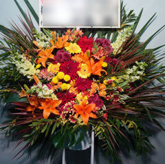 日比谷野音　赤坂BLITZ　中野サンプラザ