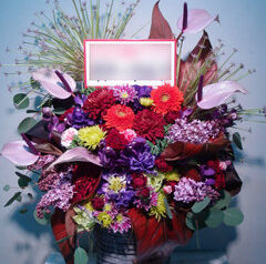 舞台　楽屋御見舞