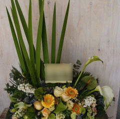 開店御祝、公演御祝