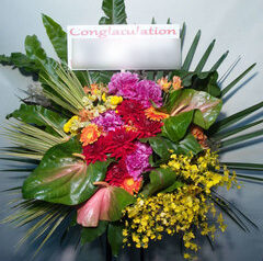 ZeppDiverCity、O-EAST　etc…