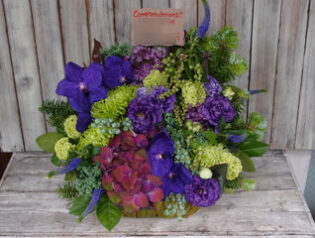 公演御祝　本多劇場