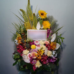 写真展開催御祝　アレンジメント