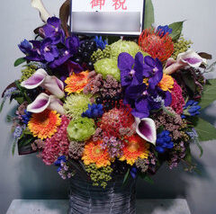 企画展開催御祝