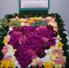 「おいしい葡萄の旅」（日本武道館）