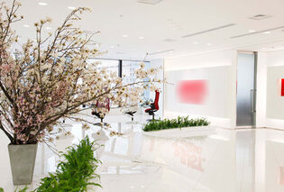 桜の活け込み　4月分