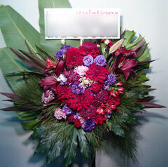 ZeppDiverCity公演御祝