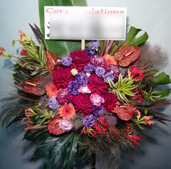 原宿　クロコダイル